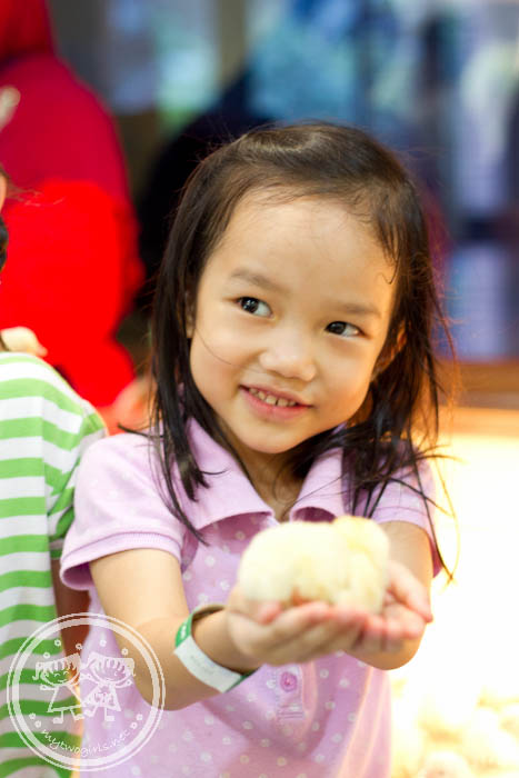 KL Bird Park - Hatchling